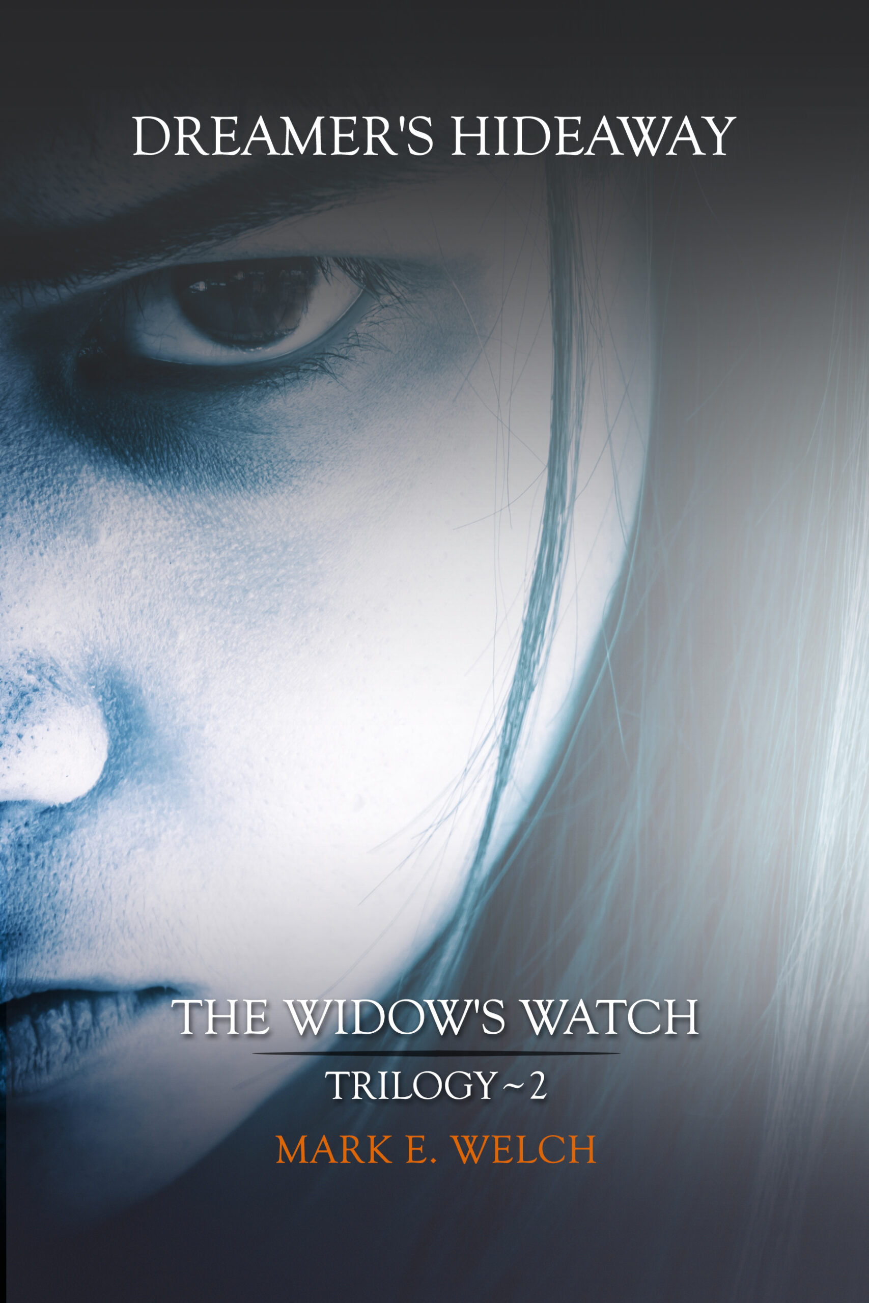 The Widows Watch Book Two